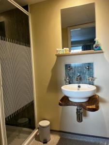 a bathroom with a sink and a shower at The Vale Hotel in Cricklade