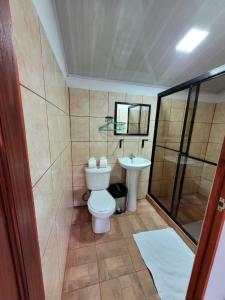 德雷克的住宿－Osa Corcovado Lodge，一间带卫生间和水槽的浴室