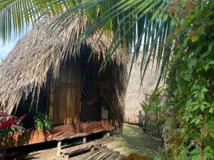 a small hut with a thatched roof next to a palm tree at Calypso cabanas in El Paredón Buena Vista