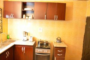 Afbeelding uit fotogalerij van Living Green APARTMENTS AIRPORT PICK UP in Benin City