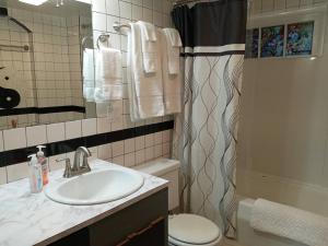 een badkamer met een wastafel, een toilet en een douche bij Downtown White Salmon Garden Home in White Salmon