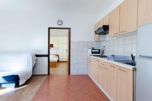 Kuchyň nebo kuchyňský kout v ubytování Apartments Anica J