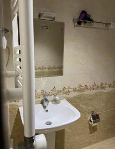 uma casa de banho com um lavatório e um espelho com pássaros na parede em Hotel White Mountains • თეთრი მთები em Mestia