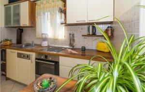 Kuchyň nebo kuchyňský kout v ubytování Two-Bedroom Apartment In Necujam