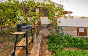 Zahrada ubytování Two-Bedroom Apartment In Necujam