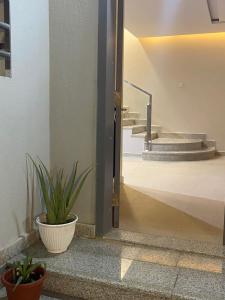 una porta aperta con una pianta in vaso e scale di Riyadh Salman Villa فيلا a Riyad