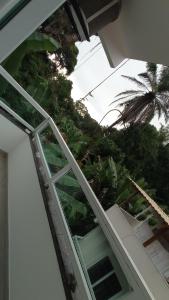 balcone aperto con vista su una palma di Apartamento Maresia a Morro de São Paulo