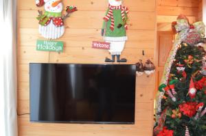 TV a/nebo společenská místnost v ubytování AB1 Log House 愛知県