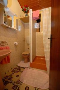 a bathroom with a shower with a toilet and a sink at Apartments Denko - with pool in Kali