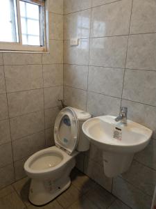 a bathroom with a toilet and a sink at 71號民宿 4-8人獨棟民宿 in Green Island