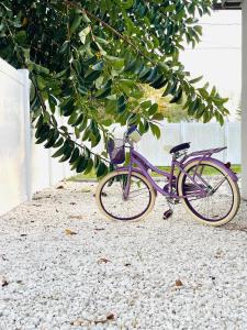 una bicicletta viola è parcheggiata sotto un albero di 4 miles to Siesta Key Beach #1 in America a Sarasota