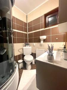 een badkamer met een toilet en een wastafel bij Vila Roxy in Breaza