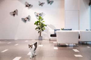 Fotografie z fotogalerie ubytování Wholesome Hotel v destinaci Taipei