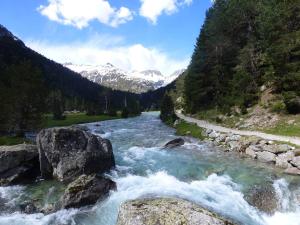 rzeka z kamieniami i górami w tle w obiekcie Appartement T2 bis Cauterets - 50m télécabine et Thermes - 4/6 pers - parking gratuit - FR-1-234-300 w mieście Cauterets