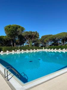 a large swimming pool with chairs and blue water at Domaine Valescure vue Piscine ou Pinede - Wifi in Saint-Raphaël