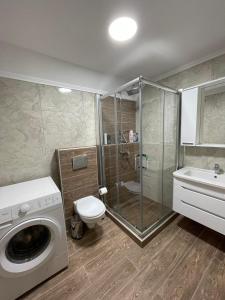 W łazience znajduje się toaleta z prysznicem i pralka. w obiekcie Vila Vlajić 2020 w mieście Gornje Pale