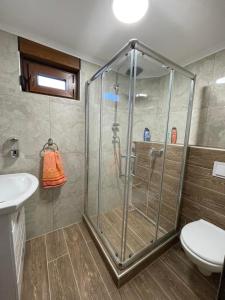 W łazience znajduje się prysznic, toaleta i umywalka. w obiekcie Vila Vlajić 2020 w mieście Gornje Pale