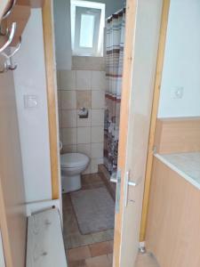 a small bathroom with a toilet and a window at Sobica in Sremska Kamenica