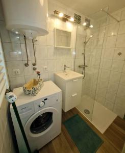 ein Bad mit einer Waschmaschine und einer Dusche in der Unterkunft Apartma Juli in Žirovnica