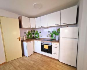a kitchen with white cabinets and a white refrigerator at Apartma Juli in Žirovnica