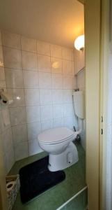 ein Bad mit einem weißen WC in einem Zimmer in der Unterkunft Apartma Juli in Žirovnica