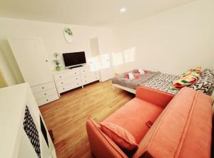 ein Wohnzimmer mit einem Sofa und einem TV in der Unterkunft Apartma Juli in Žirovnica