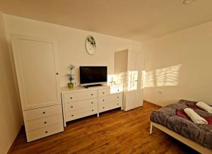 ein Schlafzimmer mit einem Bett und einem TV auf einer Kommode in der Unterkunft Apartma Juli in Žirovnica