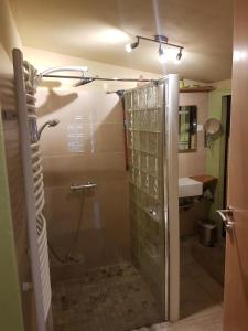 y baño con ducha y puerta de cristal. en Waldhaus St. Egidien, en Kurort Altenberg