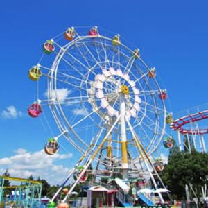 a ferris wheel at a carnival in a park at Kobe Hotel Fruit Flower in Kobe