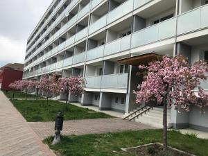 a building with pink flowering trees in front of it at Apartmán u Jána in Ružomberok