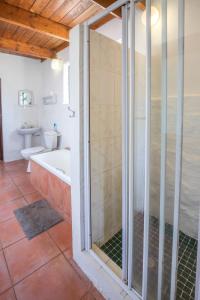 a bathroom with a shower with a tub and a toilet at Koo Karoo Guest Lodge and Self Catering in Montagu