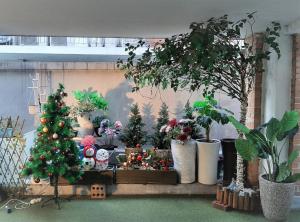 een vertoning van kerstbomen en planten in een kamer bij The Blossom Yeonnam Guesthouse in Seoul