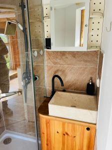 a bathroom with a sink and a shower at Tiny House/Waldhaus - Westerwald 