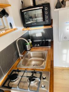 a kitchen counter with a sink and a microwave at Tiny House/Waldhaus - Westerwald 