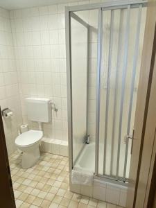 a bathroom with a toilet and a glass shower at Hotel Braunlage in Braunlage