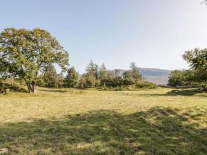 um campo com uma árvore no meio dele em Y Cwtch - Panoramic mountain views within Snowdonia's National Park em Dolgellau