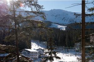 Príroda v okolí apartmánu