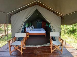ein Zelt mit einem Bett und zwei Stühlen in der Unterkunft Village Fig River Camp in Chiawa