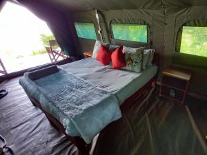 Bett in einem Zimmer in einem Zelt in der Unterkunft Village Fig River Camp in Chiawa