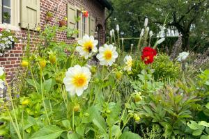Ein Garten an der Unterkunft B&B De Paenhoeve