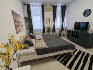 1 dormitorio con 1 cama grande y TV en Schönes Appartment im Zentrum von Koblenz II en Coblenza