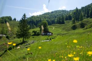 ein Haus mitten auf einem grünen Feld mit Blumen in der Unterkunft Classic Rooms by Crystal in Sankt Johann in Tirol