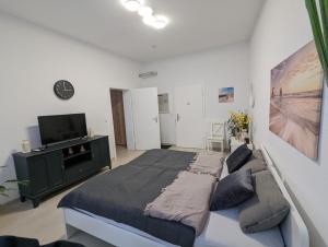 1 dormitorio con cama, sofá y TV en Schönes Appartment im Zentrum von Koblenz II en Coblenza