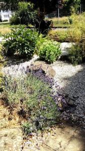 un giardino con fiori viola e piante sul terreno di LIVING .... Bungalow mit großem Garten . a Halver