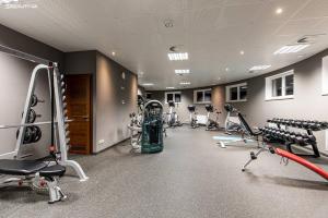 Fitnes oz. oprema za telovadbo v nastanitvi SPA Apartment Moser