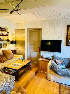 een woonkamer met 2 banken en een flatscreen-tv bij Cocon alpin, Situation top, Chalet Reine des neiges in Megève