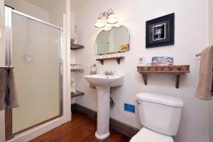 奧蘭治維爾的住宿－A charming, rustic 150 year old Carriage House，浴室配有卫生间、盥洗盆和淋浴。