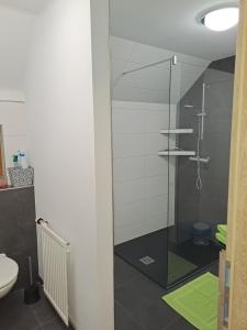 Un baño con ducha de cristal con inodoro. en Ferienwohnung Schmaranzer, en Gosau 32 fotos más