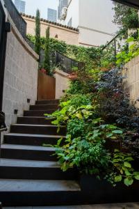 un conjunto de escaleras con plantas al lado de un edificio en Bellacorte Gentiluogo per Viaggiatori en Parma