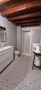 a bathroom with a toilet and a sink and a shower at La Casa del Obispo in Caleruega